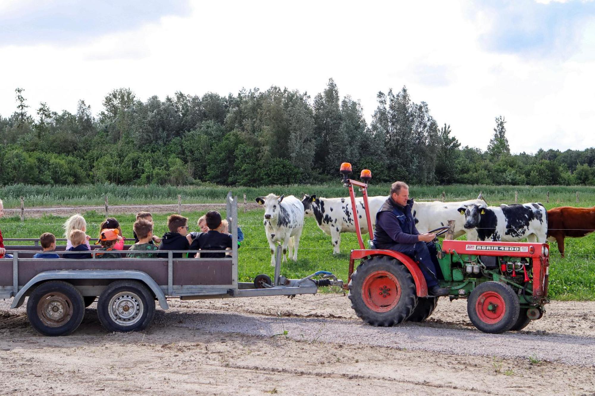 Boerderijcamping De Hinde Dronten Exterior foto